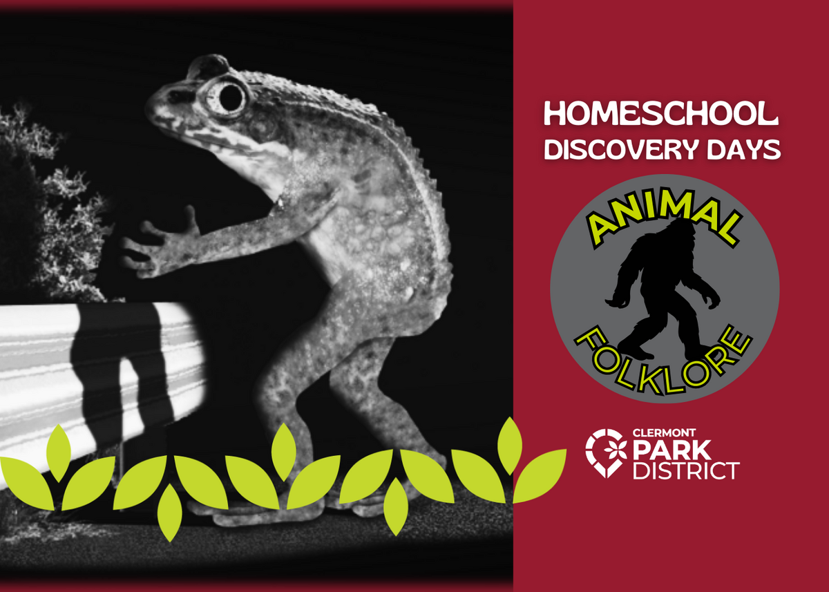 Homeschool Discovery Days: Animal Folklore is written on a red background on the right of the image. On the left side of the image is a depiction of the Loveland Frogman.